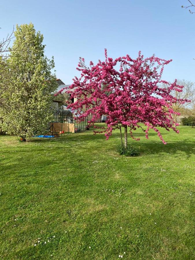No5 Chambre D'Hotes Courcome Екстер'єр фото
