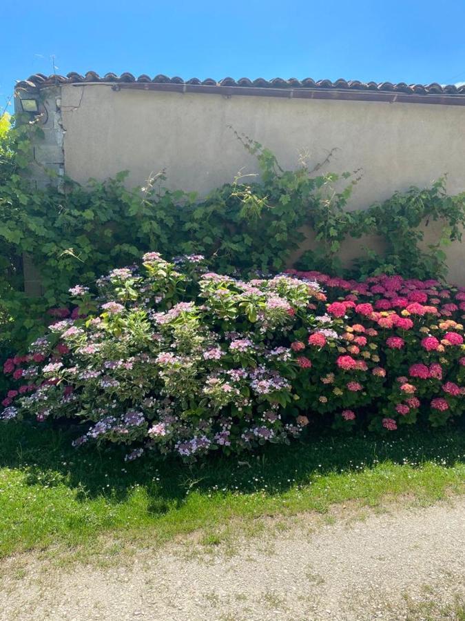 No5 Chambre D'Hotes Courcome Екстер'єр фото