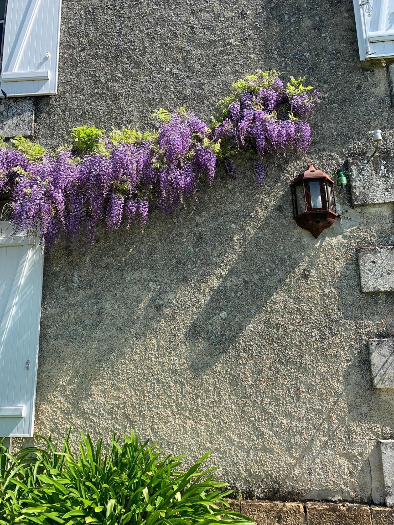 No5 Chambre D'Hotes Courcome Екстер'єр фото